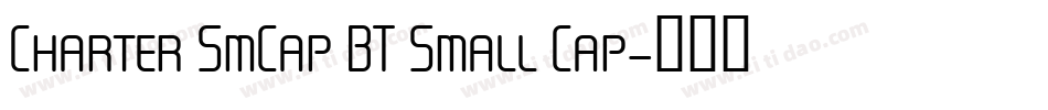 Charter SmCap BT Small Cap字体转换
